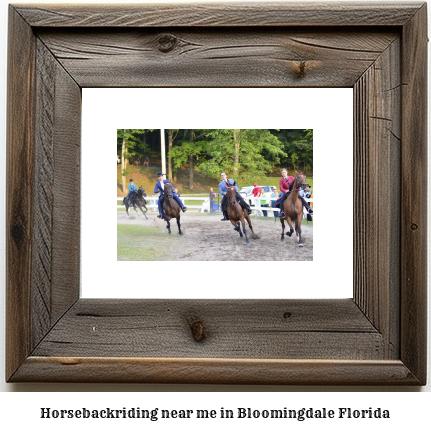 horseback riding near me in Bloomingdale, Florida